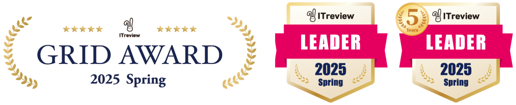 GRID AWARD 2025 Wintwe