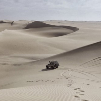 黎明期からネットショップを見続けてわかった、成功への近道となる究極の秘策とは？