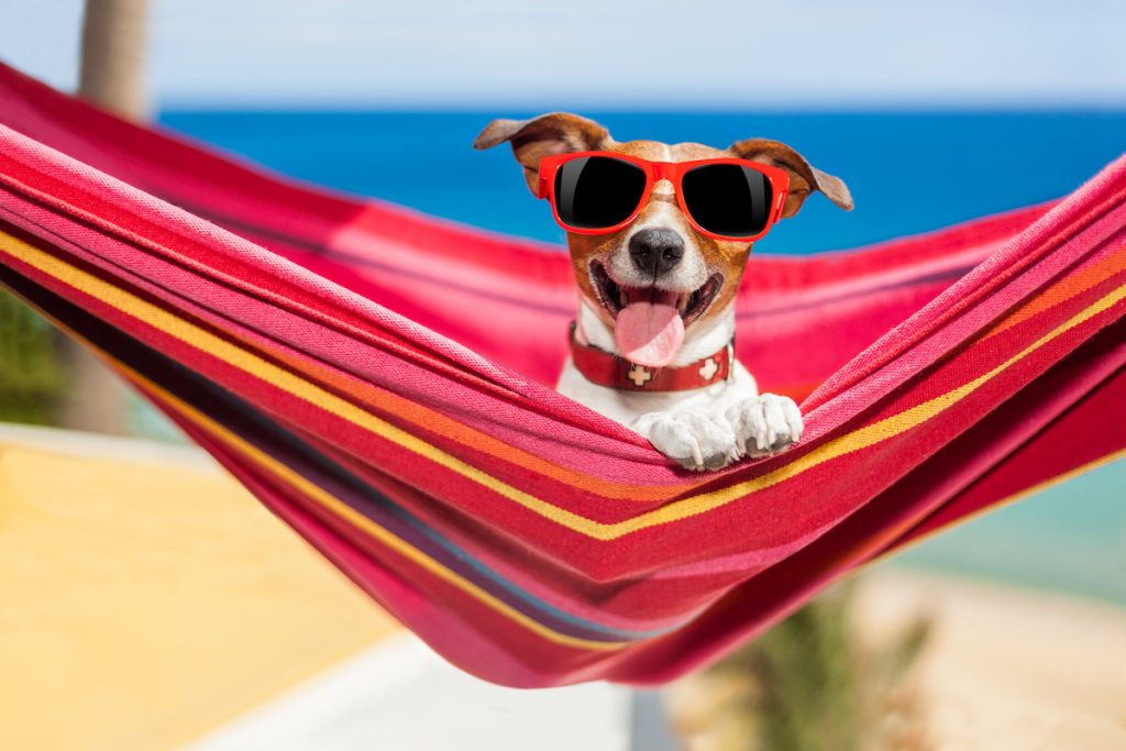 夏