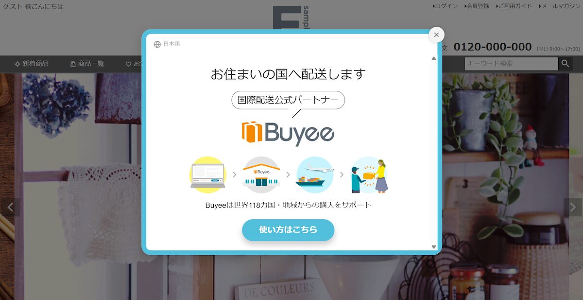 Buyeeの海外販売用の案内